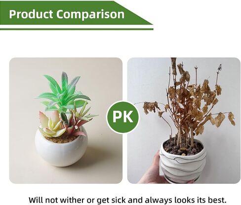 Artificial Succulent Plants in Pots,Small Faux Colorful Succulents Plants for Bathroom Home Office Living Room Table Decor Indoor Outdoor in Saudi Arabia