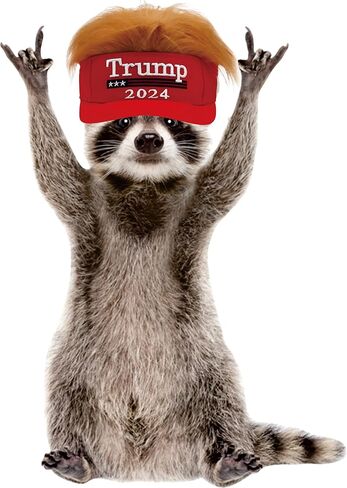 ملصق STICKY DUDE Mullet USA Racoon Raccoon، ملصق سيارة لطيف راكون مضحك، 5 بوصات - صندوق تبريد من الفينيل على شكل كأس Yeti، ملصق مقاوم للماء، ملصق جداري للكمبيوتر المحمول في السيارة ونافذة ممتصة للصدمات in Saudi Arabia
