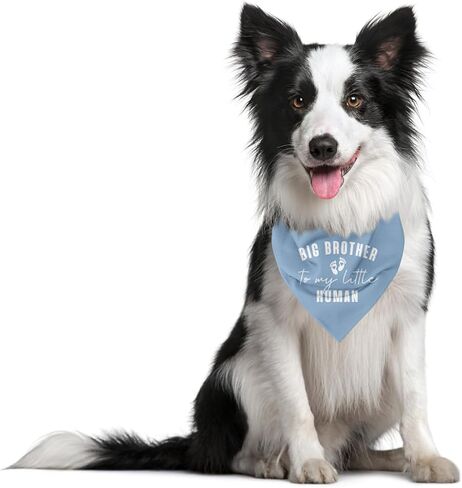 Big Brother to My Little Human Dog Bandana, Big Brother Bandana for Dog, Big Brother Bandana for Dog, Dog Bandana for Small Medium Dogs, Dog Scarf, Gift for Dog Lover (D18) in Saudi Arabia