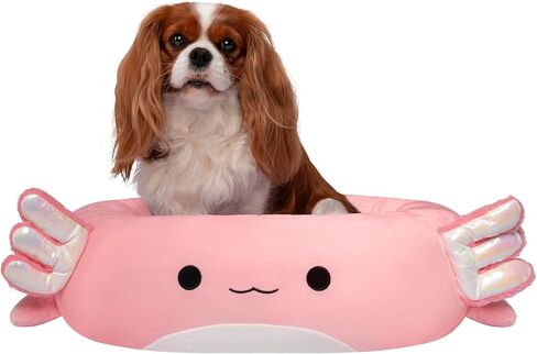 سرير Squishmallow الأصلي مقاس 24 بوصة للحيوانات الأليفة من نوع Winston The Owl - سرير متوسط ​​الحجم فائق النعومة من Jazwares الرسمي للحيوانات الأليفة من القطيفة in Saudi Arabia