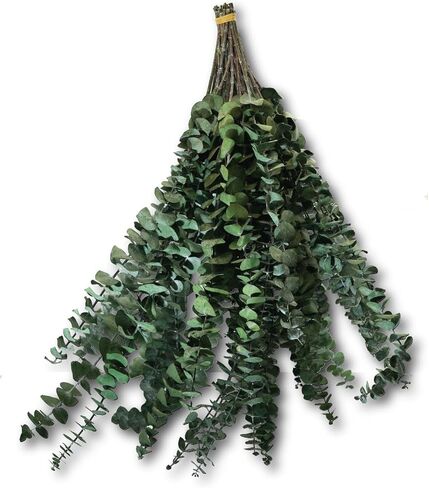Dried Eucalyptus Leaves Shower Decor - 18PCS 17" Large Fresh Eucalyptus Shower Plant for Shower Eucalyptus Hanging Artificial Flower Green Bathroom Event Decor Aromatherapy Natural Scent in Saudi Arabia