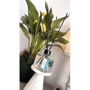 Reed Diffuser Choose Scent (Angel, 100ml)