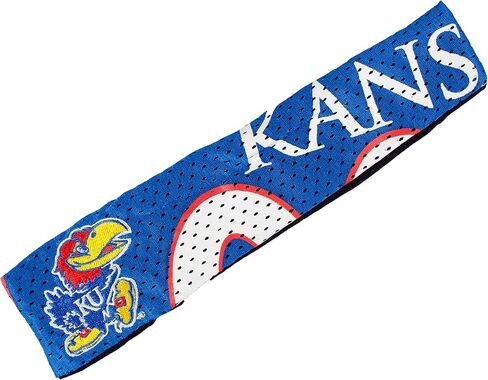 Littlearth Unisex-Adult NCAA Iowa Hawkeyes 1 Jersey FanBand Headband, Team Color, One Size, (100404-UIWA-1) in Saudi Arabia