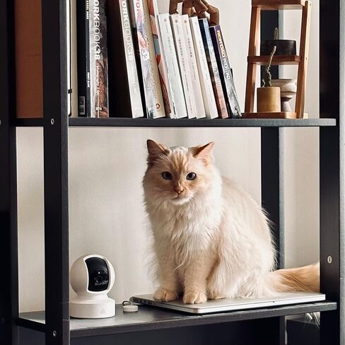 كاميرا كاميرا الأمن الذكية في KASA INDOOR/TILT ، 1080 بكسل HD CAMERA ، 2.4 جيجا هرتز مع الرؤية الليلية ، الكشف عن الحركة لمراقبة الأطفال والحيوانات الأليفة ، تخزين بطاقة Cloud & SD ، يعمل مع Alexa & Google Home (EC70) ، وايت in Kuwait
