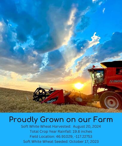 معتمد من بقايا الغليفوسات، خالي من توت القمح الأحمر الشتوي الصلب | 5 رطل | عائلة مزروعة في ولاية واشنطن | تم التحقق من صحة المشروع الذي لا يحتوي على كائنات معدلة وراثيًا | 100% غير مشعع | كوشير بارفي معتمد | تتبع الحقل | حقيبة الخيش in Saudi Arabia