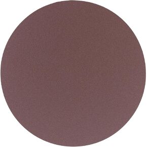 31-423 12-Inch 120 Grit Sanding Disc (2-Pack)