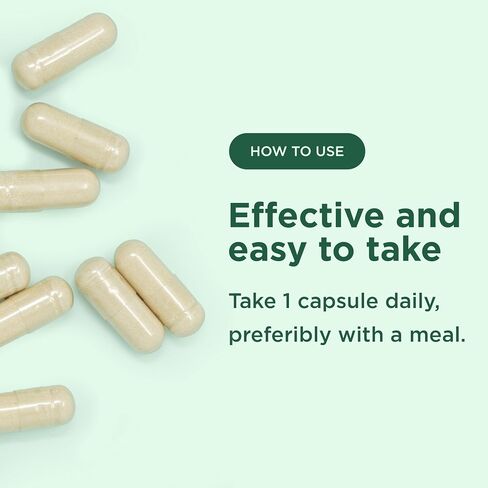 Yuve Bromelain 500mg - مكمل عالي الفعالية 2400GDU - Bromelain 500mg، مسحوق البروميلين - صحة الأمعاء والمفاصل - الأناناس الطازج - 120 كبسولة نباتية in Kuwait