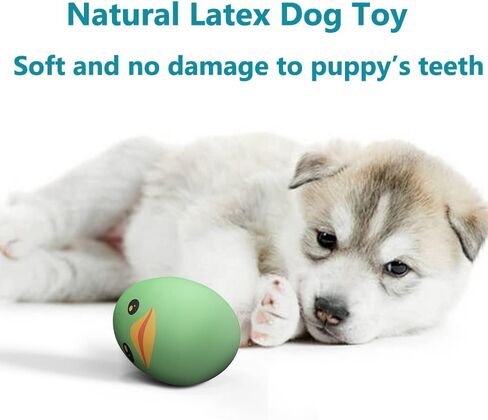 SCHITEC Squeaky Dog Toys, [8 Pack] Latex Squeak Dog Ball for Small Pets & Puppies, 2.3" Soft Rubber Bouncy Interactive Fetch Balls in Kuwait