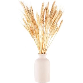 100 PCS Stalks 22 Inches Handpicked Dried Wheat Stalks Natural Home Decor, Pampas Grass Decor and Fall Decor Accentfor Rustic and Farmhouse Style, DIY Crafts, and Seasonal Displays