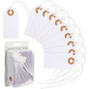 100 Pieces Blank Paper Tags with String 2 3/4" x 1 3/8" Small Shipping Tags Blank Hang Tags with String Paper Hang Label Tags with String Attached and Reinforced Hole