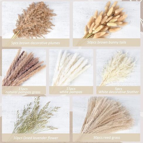 DearHouse 130 قطعة من باقة عشب بامباس الطبيعية المجففة، باقة بوهو لديكور المنزل مقاس 17 بوصة، زهور فراغميت المجففة، باقة لترتيبات زهور الزفاف وديكورات المنزل in Kuwait