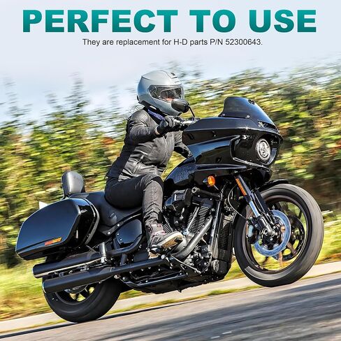 MoKitDora Hold Fast Sissy Bar Docking Hardware Kit for Harley 2018-later Softail Fat Boy FLFB, FLFBS, FXBR FXBRS FLDE, FLHC, FLHCS, Slim FLSL, FXBB, FXFBS, FLSB, FXLR, FXLRS and FXST Models, Black in Saudi Arabia