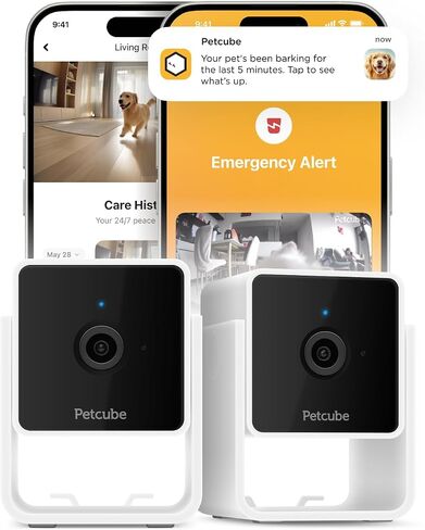 Petcube Cam The Pack of 2 | Indoor Wi-Fi Pet Security Camera with Phone App, 2-Way Audio and Video, Night Vision, 1080p HD Video and Smart Alerts in Kuwait