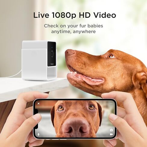 Petcube Cam The Pack of 2 | Indoor Wi-Fi Pet Security Camera with Phone App, 2-Way Audio and Video, Night Vision, 1080p HD Video and Smart Alerts in Kuwait