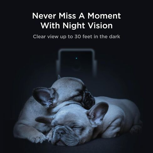 Petcube Cam The Pack of 2 | Indoor Wi-Fi Pet Security Camera with Phone App, 2-Way Audio and Video, Night Vision, 1080p HD Video and Smart Alerts in Kuwait