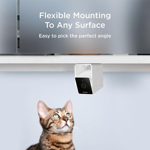 Petcube Cam The Pack of 2 | Indoor Wi-Fi Pet Security Camera with Phone App, 2-Way Audio and Video, Night Vision, 1080p HD Video and Smart Alerts in Kuwait