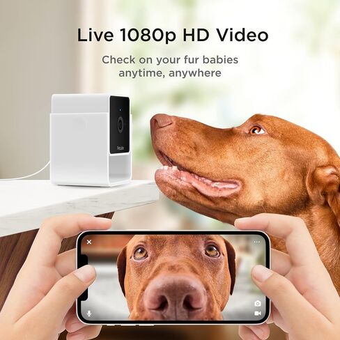 Petcube Cam The Pack of 2 | Indoor Wi-Fi Pet Security Camera with Phone App, 2-Way Audio and Video, Night Vision, 1080p HD Video and Smart Alerts in Kuwait