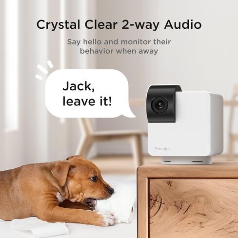 Petcube Cam The Pack of 2 | Indoor Wi-Fi Pet Security Camera with Phone App, 2-Way Audio and Video, Night Vision, 1080p HD Video and Smart Alerts in Saudi Arabia