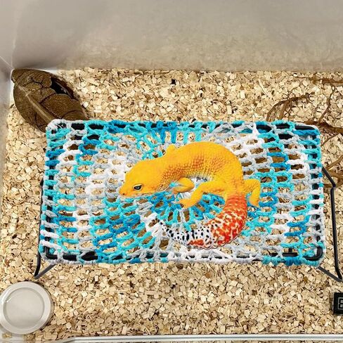 kathson Bearded Dragon Hammock Soft Double-Layered Reptile Hammocks Swing Hanging Bed with Suction Cups Hooks Tank Accessories Hammocks for Small Lizard Leopard Gecko Chameleon(Triangular) in Saudi Arabia
