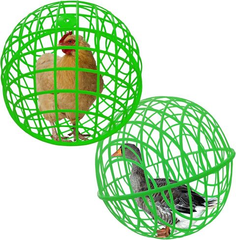 حظيرة دجاج متحركة على شكل كرة مقاس 15 بوصة، شبكة مشي آمنة على شكل أرنب حمامة، تمنع داسها الحصان، والافتراس بواسطة النسور والذئاب وعضات الكلاب. قفص أمان قابل للإزالة للحيوانات الأليفة يمنع التحرش in Kuwait