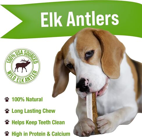 Buck Bone Organics Dog Chews, Elk Antlers for Dogs, Long Lasting Dog Bones for Aggressive Chewers, All Natural, No Preservatives, Wild Shed in The USA (Large) in Saudi Arabia