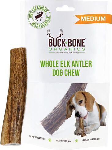 Buck Bone Organics Dog Chews, Elk Antlers for Dogs, Long Lasting Dog Bones for Aggressive Chewers, All Natural, No Preservatives, Wild Shed in The USA (Large) in Saudi Arabia