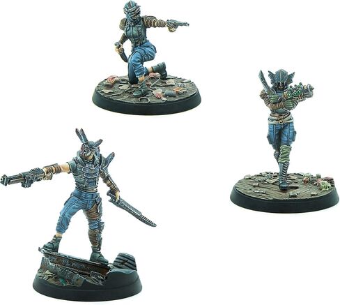 Modiphius Entertainment: Fallout Wasteland Warfare: Raiders - The Pack - 10 شخصيات غير مطلية، Nuka World Wave، منمنمات متوافقة أيضًا مع الفصائل in Saudi Arabia