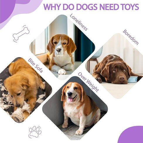 AWOOF Dog Toys No Stuffing, 5 Pack Dog Squeaky Toys Durable Dog Chew Toy Set for Puppy Small Medium Large Dog (6PCS Dog Chew Toys) in Kuwait