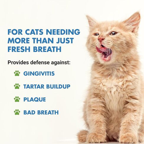 تركيبة متقدمة لأسنان ولثة القطط، نكهة المأكولات البحرية، 8 أونصة in Kuwait