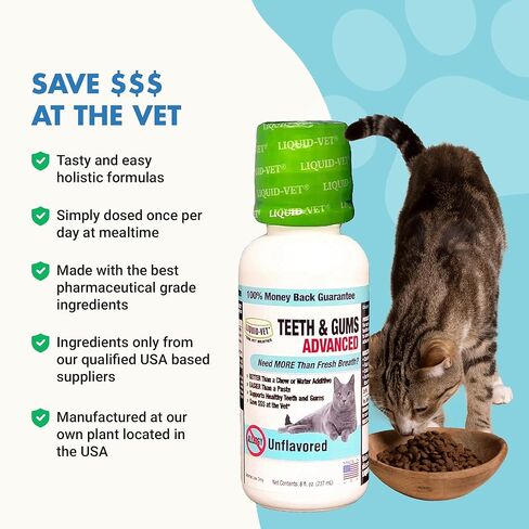 تركيبة متقدمة لأسنان ولثة القطط، نكهة المأكولات البحرية، 8 أونصة in Kuwait