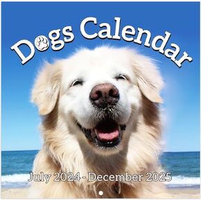 2024-2025 Wall Calendar - Calendar 2024-2025, Wall Calendar 2024-2025, Jul.2024 to Dec.2025, 18 Monthly Calendar Planner, Funny Calendar Gag Gifts