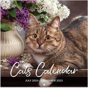 2025-2026 Calendar - Wall Calendar 2025-2026, Jul.2025 - Dec.2026, 12" x 24" (Open), 2025-2026 Wall Calendar with Unruled Blocks - Cutie Cat