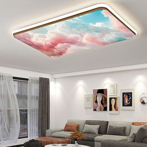 2Pack Flowers Light Light Wover for Classroom و Magnetic Drop Seiling Film Filter ، والقضاء in Saudi Arabia