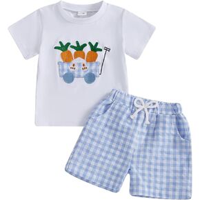 Toddler Boy Easter Outfit Baby Boy Bunny Short Sleeve T Shirt And Shorts Set 2 Piece Spring Summer Clothes