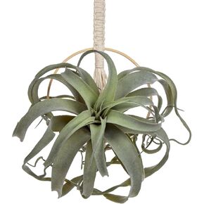 Artificial Air Plants 11 Inch Faux Flocking Tillandsia Real Touch Lifelike Fake Succulents Fall Plants for Home Garden Office Indoor Outdoor Decor