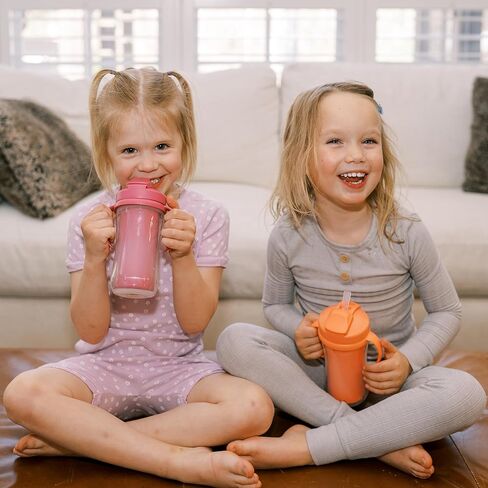 Dr. Brown's Milestones Insulated Sippy Cup with Straw and Handles, Spill-Proof Tumbler with Lid, 2-Pack, Pink, 10 oz/300 mL, BPA Free, 12m+ in Kuwait