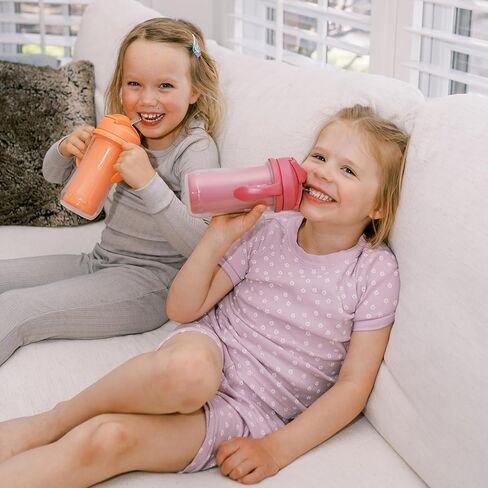 Dr. Brown's Milestones Insulated Sippy Cup with Straw and Handles, Spill-Proof Tumbler with Lid, 2-Pack, Pink, 10 oz/300 mL, BPA Free, 12m+ in Kuwait