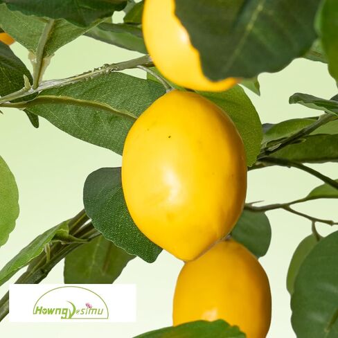 38" Artificial Camellia Tree 2 Packs, Faux Camellia Plant in Pebbles Pot with White Flowers, Greenery Camellia Tree for Spring Home Front Door Outdoor Indoor Decoration, White in Kuwait