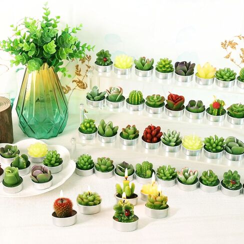 AIXIANG 12Pcs Cactus Candles Succulent Candles, Wedding Party Favors for Guests, Bridal Shower Candles Favors in Saudi Arabia