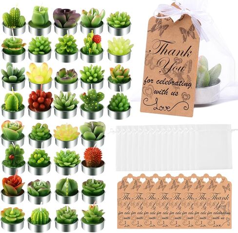 AIXIANG 12Pcs Cactus Candles Succulent Candles, Wedding Party Favors for Guests, Bridal Shower Candles Favors in Saudi Arabia