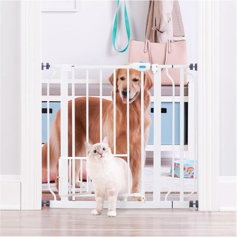 Carlson Extra Wide Walk Through Pet Gate with Small Pet Door, Includes 4-Inch Extension Kit, Pressure Mount Kit and Wall Mount Kit, Black in Saudi Arabia