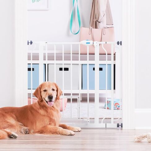 Carlson Extra Wide Walk Through Pet Gate with Small Pet Door, Includes 4-Inch Extension Kit, Pressure Mount Kit and Wall Mount Kit, Black in Saudi Arabia