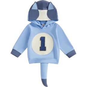 Eadrioss Toddler Baby Girl 1st 2nd Birthday Outfit Sweatshirt Shirt Blue Dog First 2t