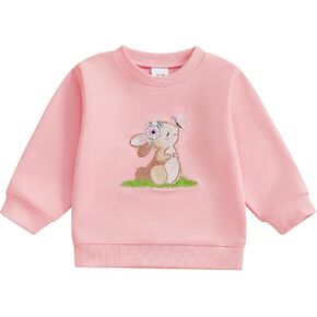 Toddler Baby Girl Boy Easter Outfits Bunny Embroidery Round Neck Long Sleeve Sweatshirt Pullover Top Fall Clothes