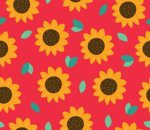Hello Bello Diapers, Size 5 (27 lbs) Flower Child, 72 Count Value Pack of Premium Disposable Baby Diapers, Hypoallergenic with Soft, Cloth-Like Feel in Saudi Arabia