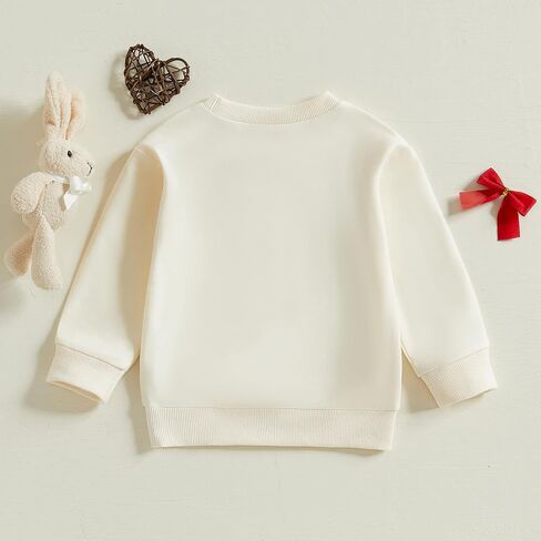 Toddler Baby Girl Boy Easter Outfits Bunny Embroidery Round Neck Long Sleeve Sweatshirt Pullover Top Fall Clothes in Kuwait