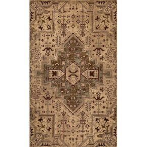Birch Rustic Oriental Area Rug - Beige 2'2" x 7'11" Runner