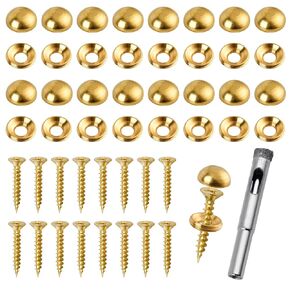 16 Pcs Brass Decorative Screws with Caps, 15 mm Self-Tapping Screws with Decorative Cover, Decorative Caps Cover Nails for Furniture Mirror Sign Advertising Glass Fixing (Brass)