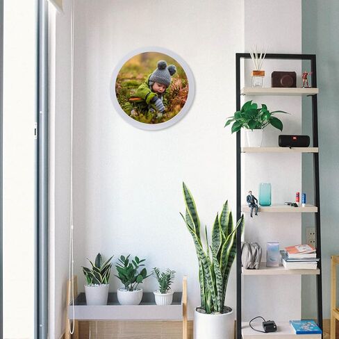 MAGICLULU 1Pcs 11inch Display Frame Circle Display Photo Frame Round Picture Frame for Home Wall Decors in Saudi Arabia