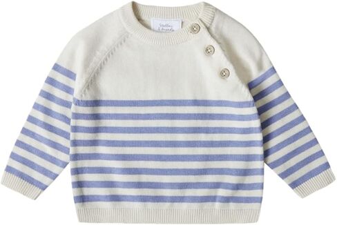 Stellou & friends 100% Cotton Knit Long Sleeve Sweater- Striped Baby Pullover for Toddlers, Boys, Girls- Unisex (0-4 Yrs) in Saudi Arabia